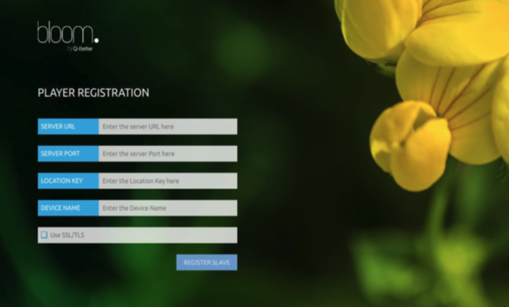 Alt player installation guide scheme